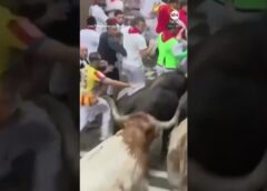 Thousands brave Pamplona bull run