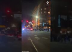 Seahawks fans celebrate team’s Super Bowl victory