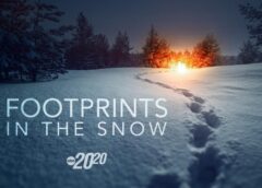 Young wife and mom discovered in burned-out SUV | 20/20 ‘Footprints in the Snow’ Part 1