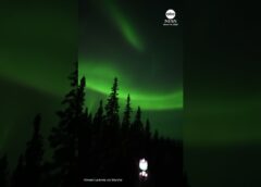 Stunning northern lights display dazzles onlookers in Alaska