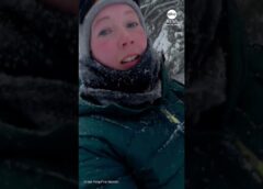 Woman creates makeshift dog sled amid Michigan blizzard