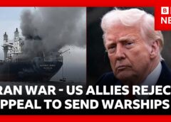 US allies reject Trump’s appeal to send warships to Strait of Hormuz | BBC News