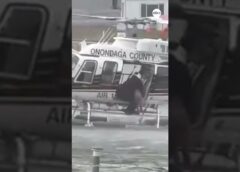 Police use helicopter to rescue dog from river