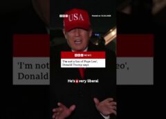 Donald Trump attacks Pope over criticism of Iran war. #Trump #PopeLeo #BBCNews