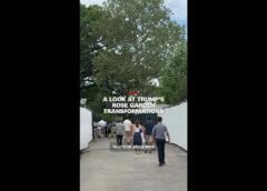 A look at Trump’s Rose Garden transformations