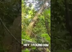 K-9 finds ‘missing and endangered’ 96-year-old man in woods
