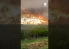 Huge plumes of smoke rise from Florida Everglades wildfire